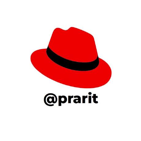 prarit avatar