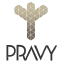 @pravy-developers