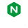 nginx photo