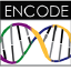 @ENCODE-DCC