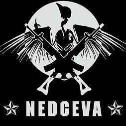 nedgeva avatar