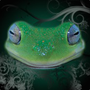 frogthefrog avatar