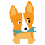 @corgibytes