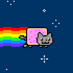 nyan-x-cat avatar