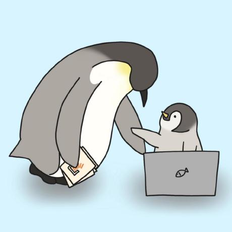 coodingpenguin avatar