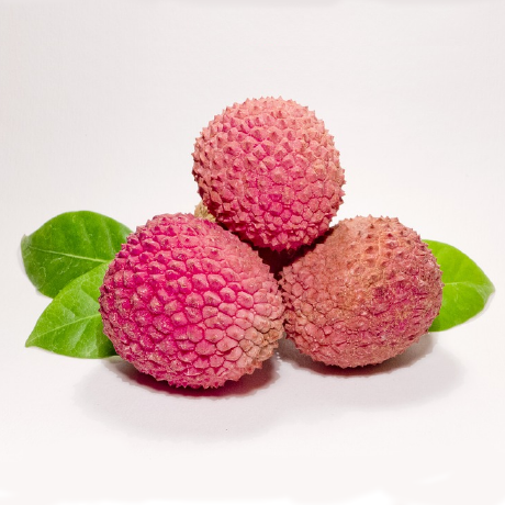 Lychee Organisation