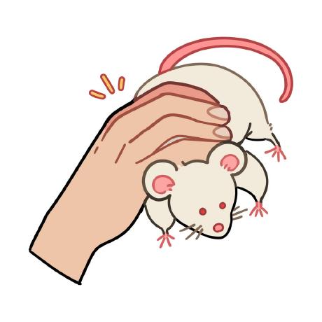 animmouse avatar