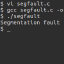 @segfault-trainings