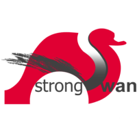 @strongswan