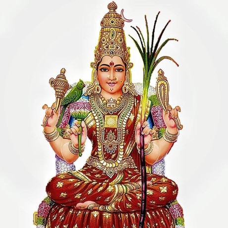 lalitaalaalitah avatar