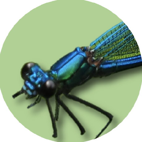 webreaper avatar