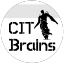 @citbrains