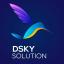 @dskysolution