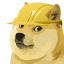 @dogeku