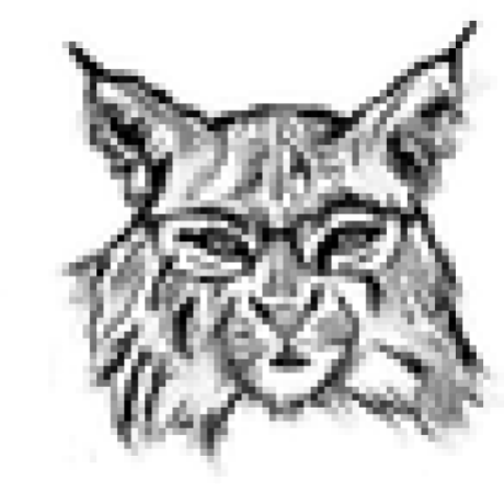 baroquebobcat avatar