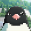 @Pigmy-penguin