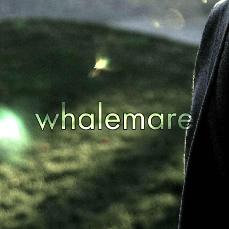 whalemare avatar