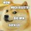 @dogestry