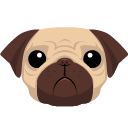 Pugjs