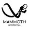 @mammothgeospatial