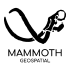 @mammothgeospatial